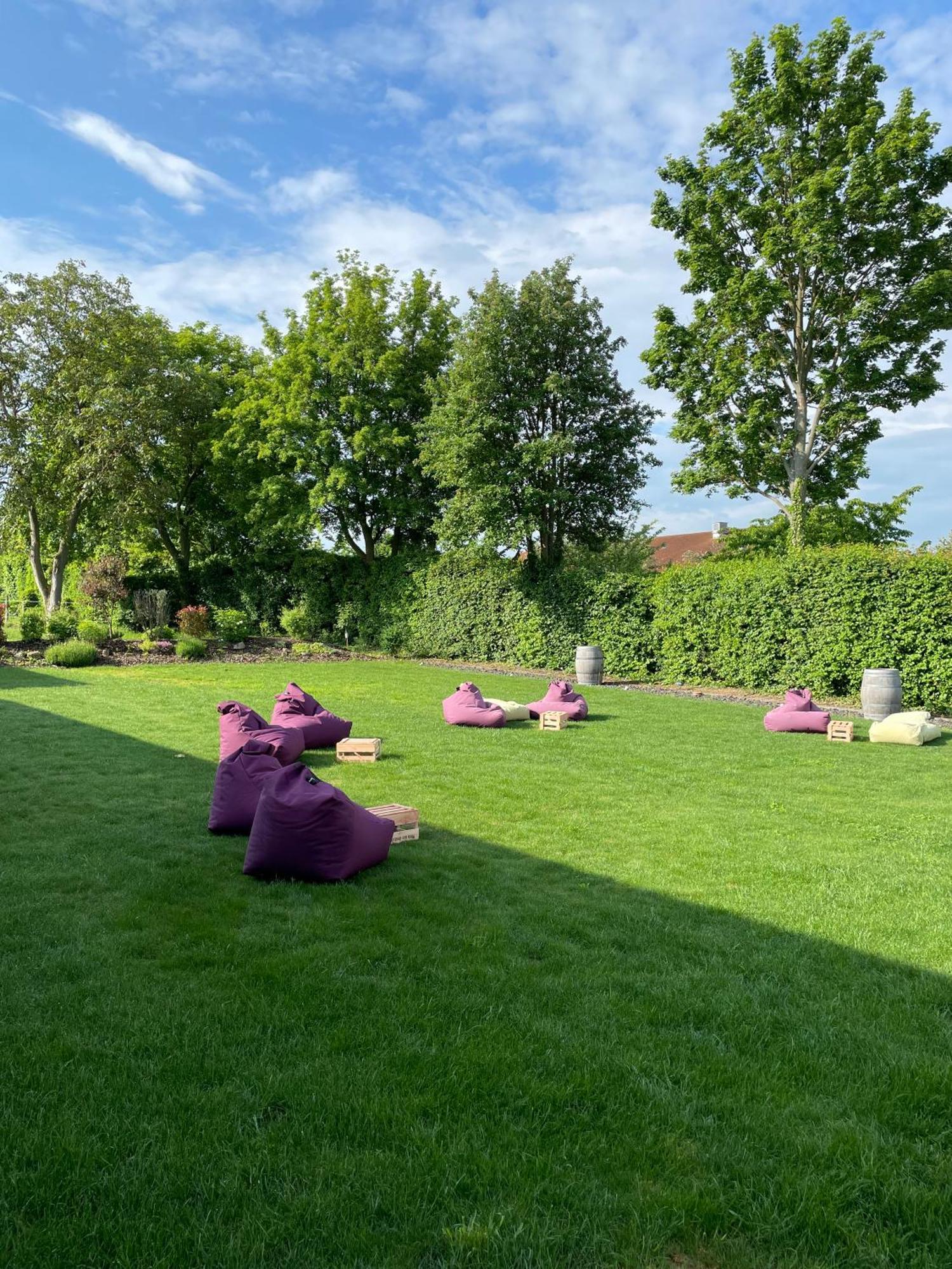 Meyerhof - Bioweingut, Vinothek & Gaestehaus Флонхайм Экстерьер фото