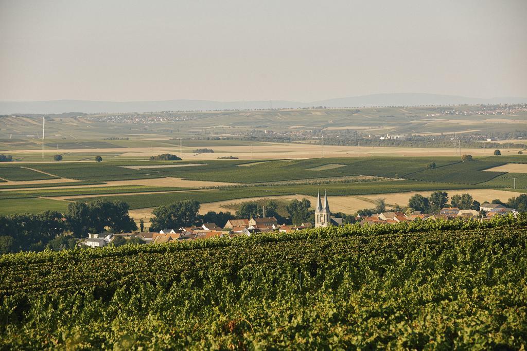 Meyerhof - Bioweingut, Vinothek & Gaestehaus Флонхайм Экстерьер фото