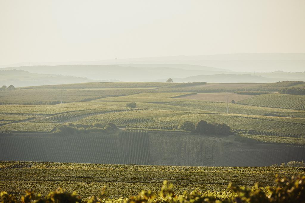 Meyerhof - Bioweingut, Vinothek & Gaestehaus Флонхайм Экстерьер фото